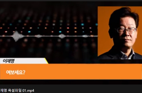 이낙연 지지자 ‘이재명 욕설 파일’… 법원, 유튜브 영상 차단