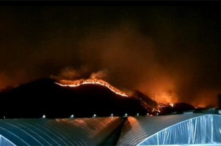 양구 송청리 산불 3단계 상향…야간 진화작업 중(종합2보)