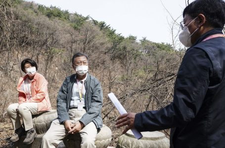 靑, 법흥사 초석 논란에 “문화재청장에 앉아도 되나 확인했다”