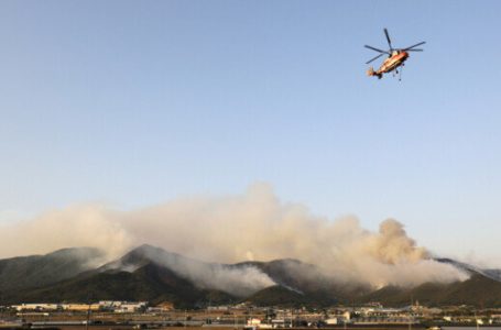 경남 밀양 산불, 오후 9시 현재 진화율 41%…특수진화대 등 1564명 야간투입