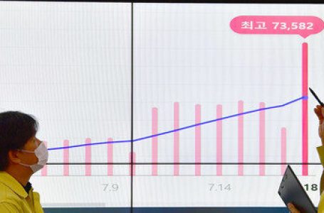 코로나19 확진 8세 초등생, 하루만에 숨져…기저질환無