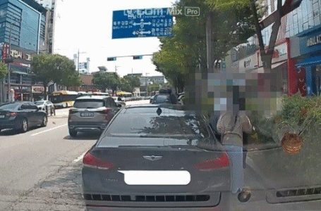 “한심한 제네시스 커플”…커피 사오더니 먹던 음료 컵 도로화단에 ‘휙’