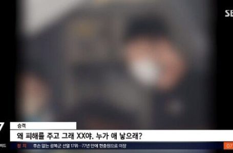 비행기서 아이 울자 격분한 男, 부모에게 “누가 애 낳으래?”