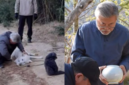 산책중 쓰러진 마루, 文 직접 유골함 묻었다… 딸이 사진 공개