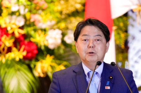 친강-하야시 회담 "중국 구금 일본인 남성 석방하라"