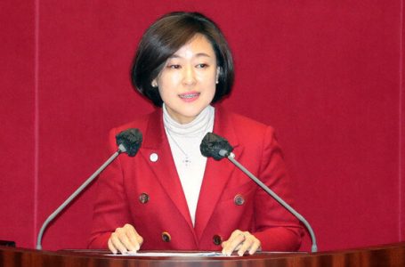 황보승희 “저는 가정폭력 피해자…의혹, 전 남편의 일방적 주장”｜동아일보