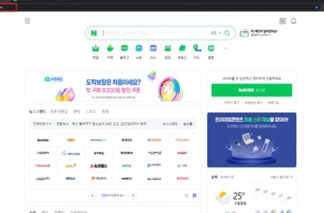 北, 네이버 실시간 복제해 해킹 시도…“외관으론 구분 안돼”