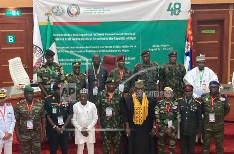 서아프리카 15개국 대표단, 니제르 쿠데타 군부와 협상 시도