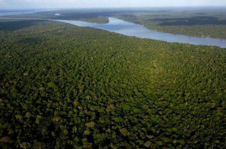 아마존 8개국 정상회의, 2030년까지 삼림 벌채 중단 추진