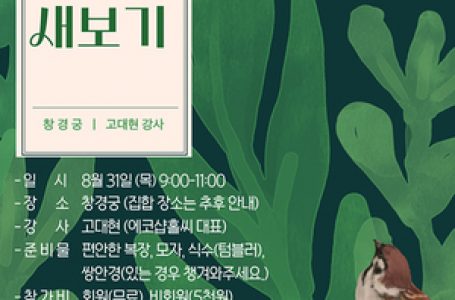 “서울 도심서 새 구경 함께 해요” < 교계일반 < 교계 < 기사본문