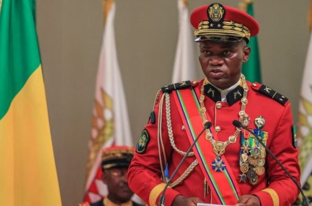 아프리카 가봉 군부 쿠데타 수장, 임시 대통령 취임