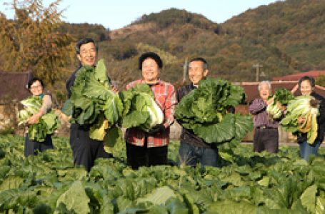 [포토뉴스] “추수의 계절, 풍성한 은혜”