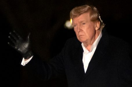 트럼프 “푸틴 아닌 국내 문제 집중”…유럽, ‘우크라 평화계획’ 미국에 제시키로